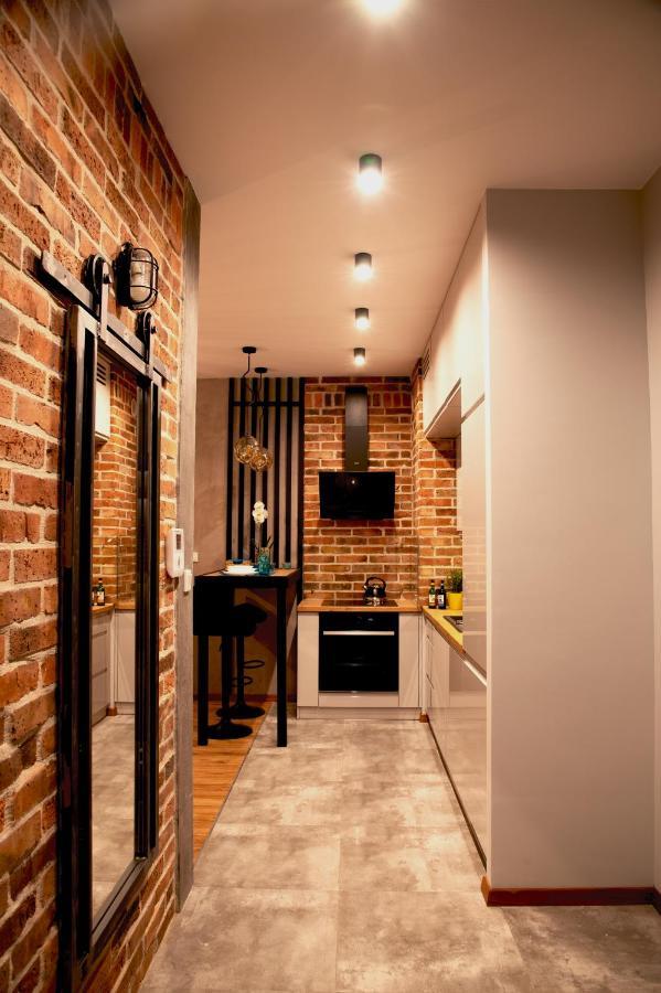 克拉科夫Apartament Rakowicka公寓 外观 照片