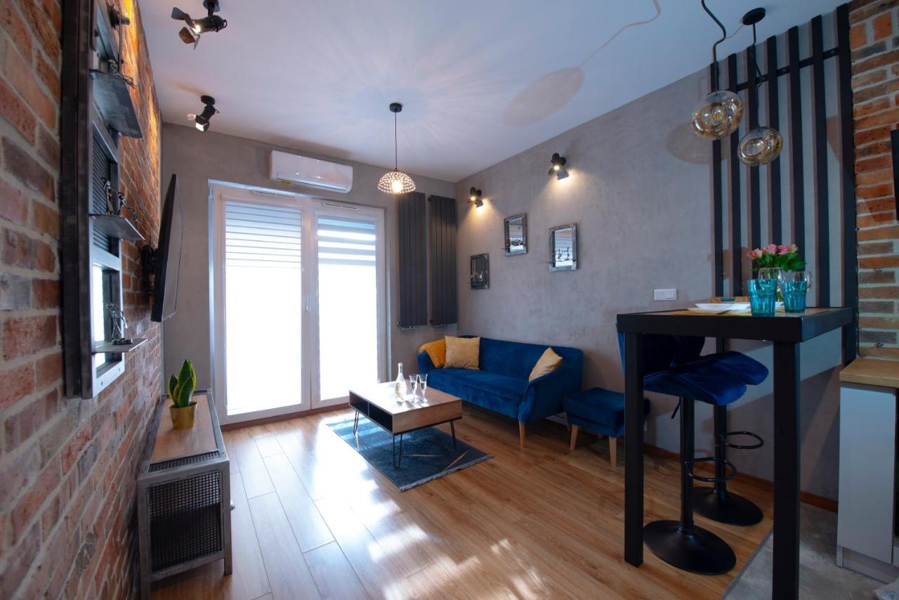 克拉科夫Apartament Rakowicka公寓 外观 照片