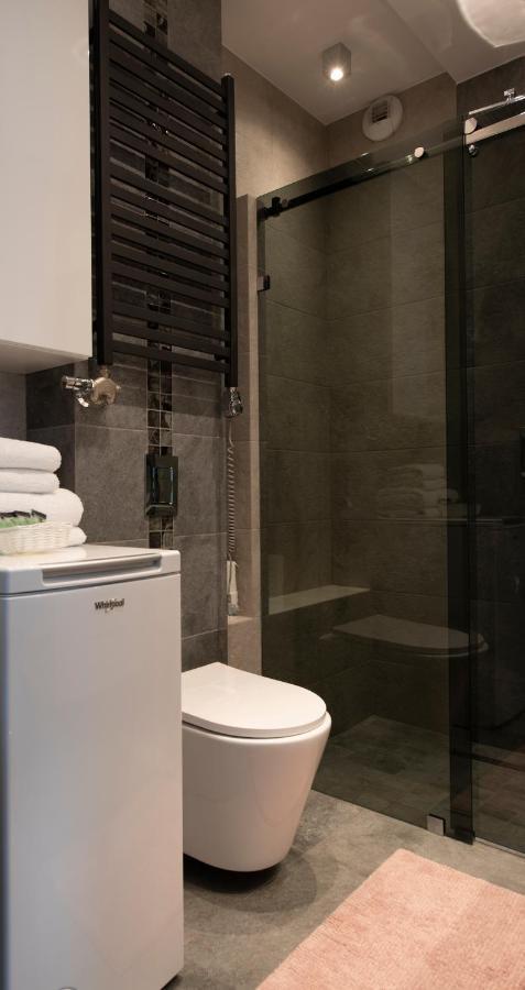 克拉科夫Apartament Rakowicka公寓 外观 照片